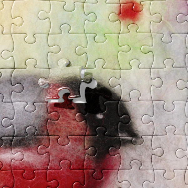 Jigsaw Puzzle "Colorful Bullfinch"