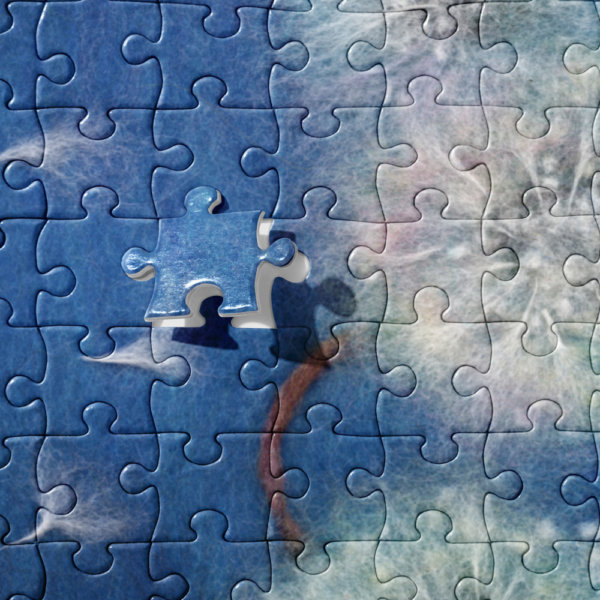 Jigsaw Puzzle “Hedgelion”